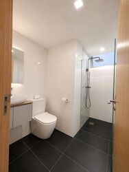 Oasis @ Elias (D18), Condominium #610460231